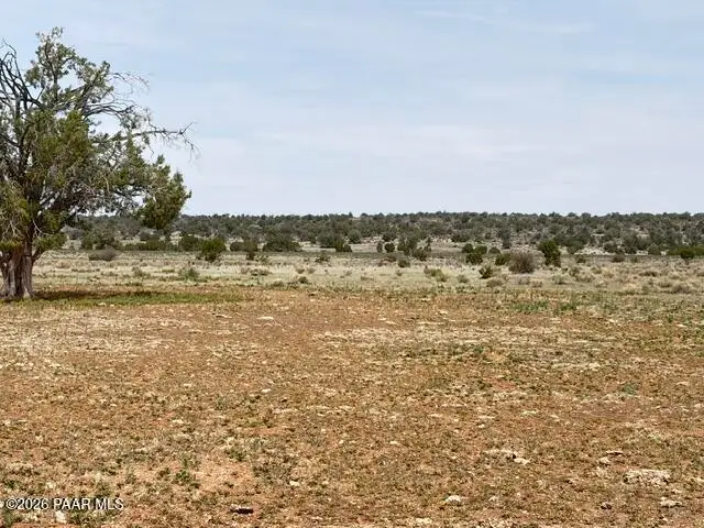 595 Ravens Rest, Seligman, AZ 86337 - #1