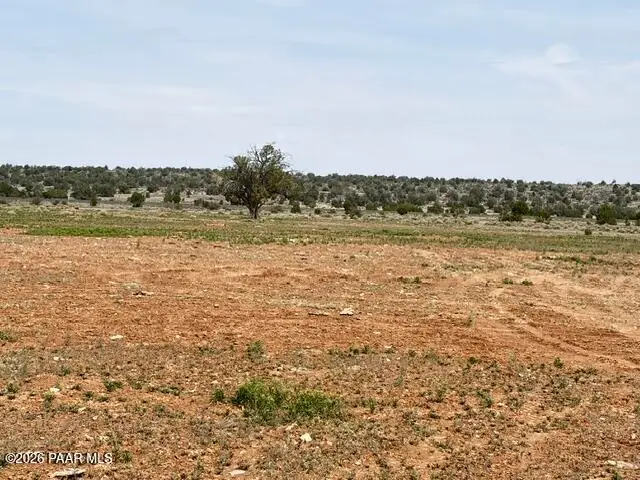 595 Ravens Rest, Seligman, AZ 86337 - #2
