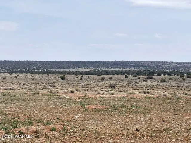 595 Ravens Rest, Seligman, AZ 86337 - #3