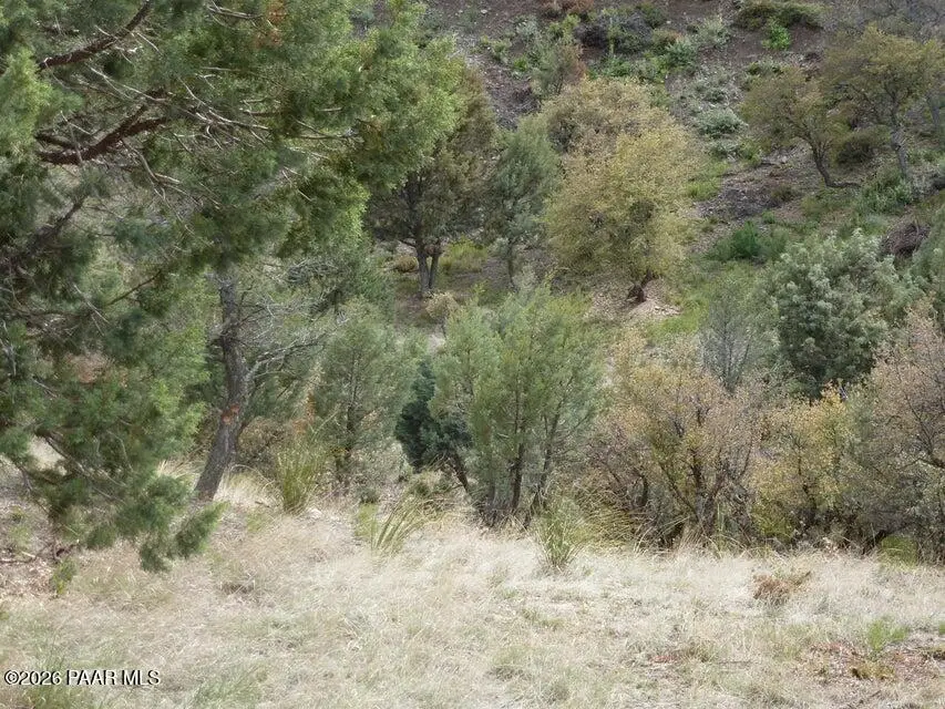 330 Newport Drive, Prescott, AZ 86303 - #2