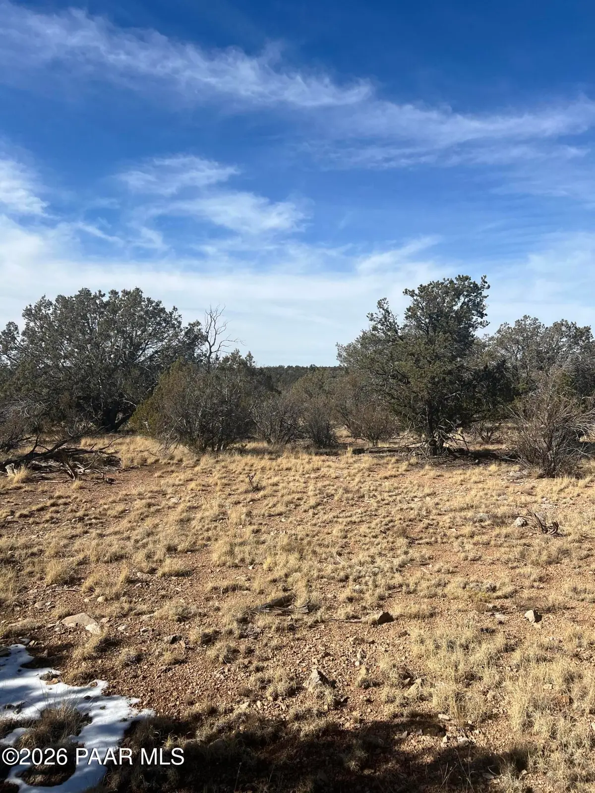 54506 N Shadow Mountain Circle, Seligman, AZ 86337 - #1