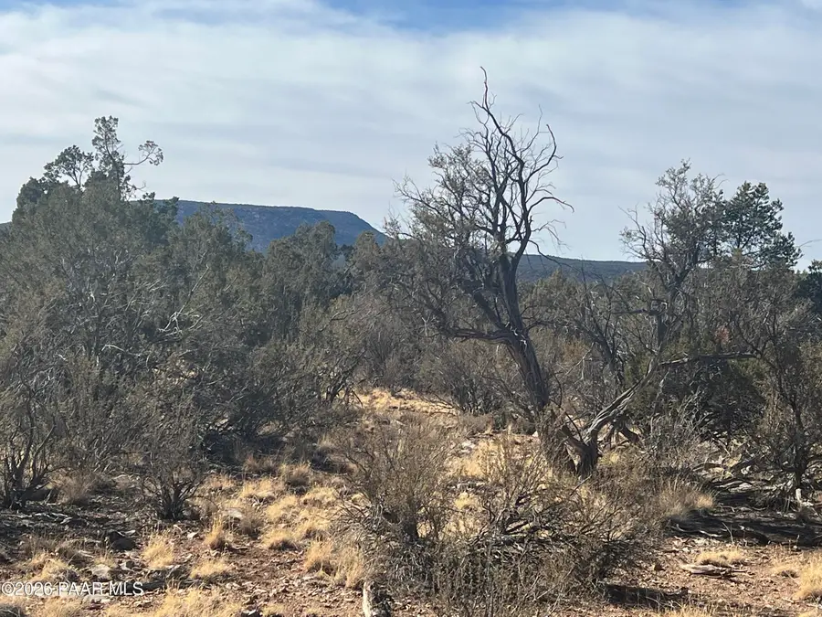 54506 N Shadow Mountain Circle, Seligman, AZ 86337 - #2