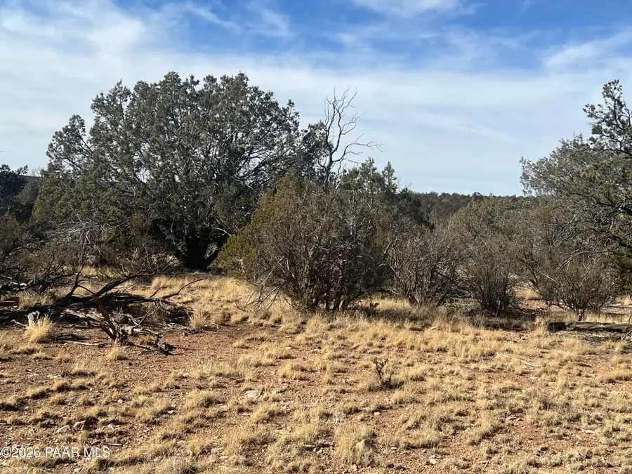 54506 N Shadow Mountain Circle, Seligman, AZ 86337 - #3