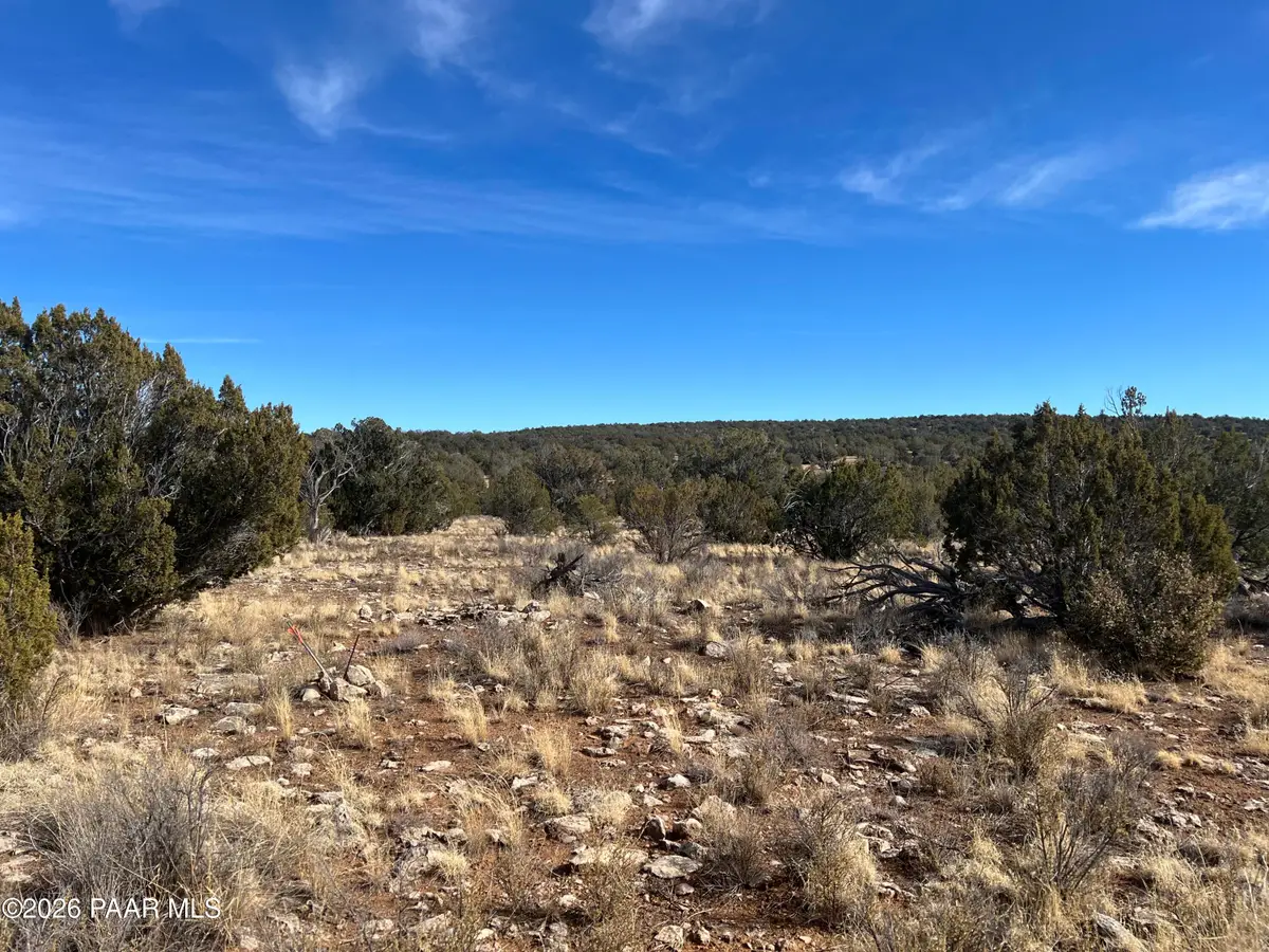 000 N Rolling Hills Lane, Seligman, AZ 86337 - #1