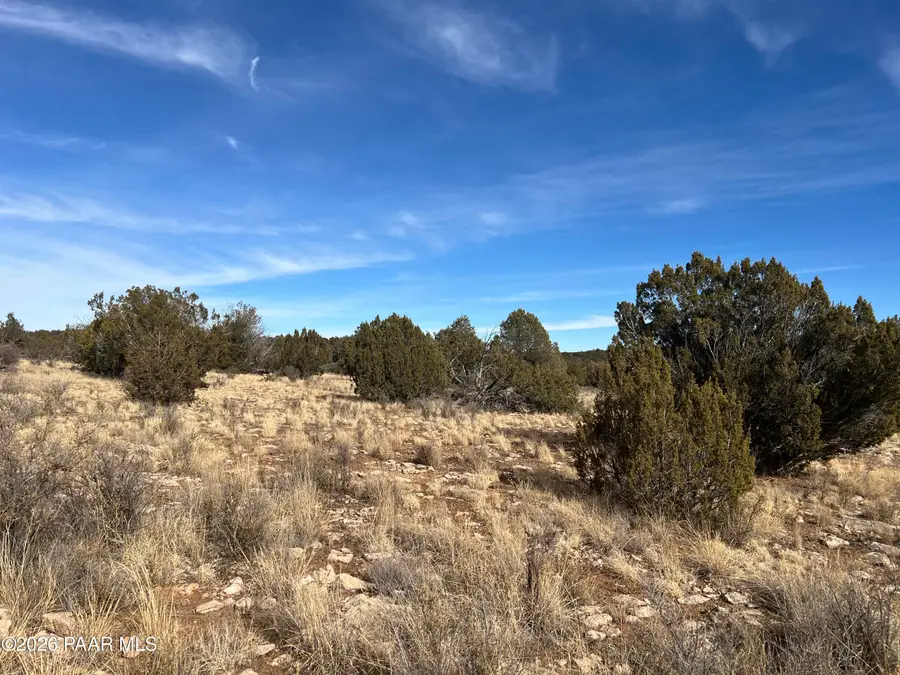000 N Rolling Hills Lane, Seligman, AZ 86337 - #2