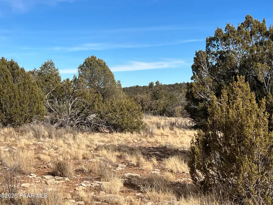 000 N Rolling Hills Lane, Seligman, AZ 86337 - #3