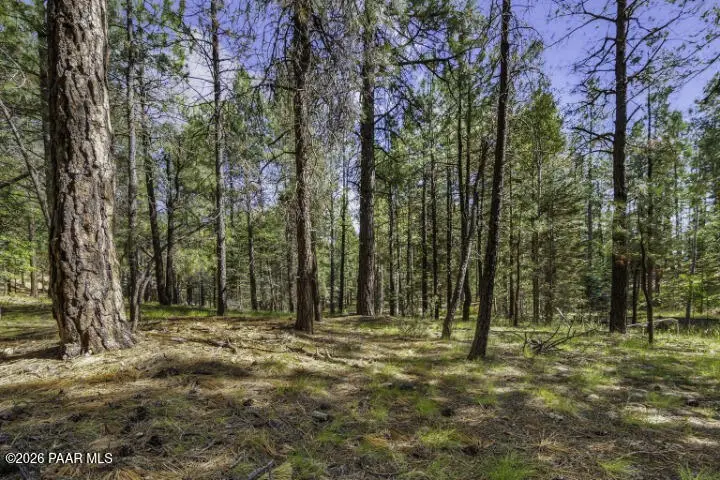 00 S Comstock Mine Road, Prescott, AZ 86303 - #1