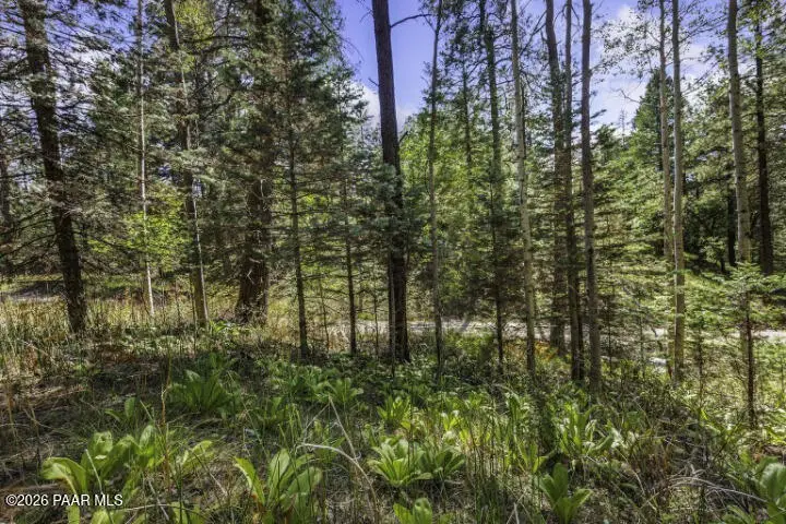 00 S Comstock Mine Road, Prescott, AZ 86303 - #3