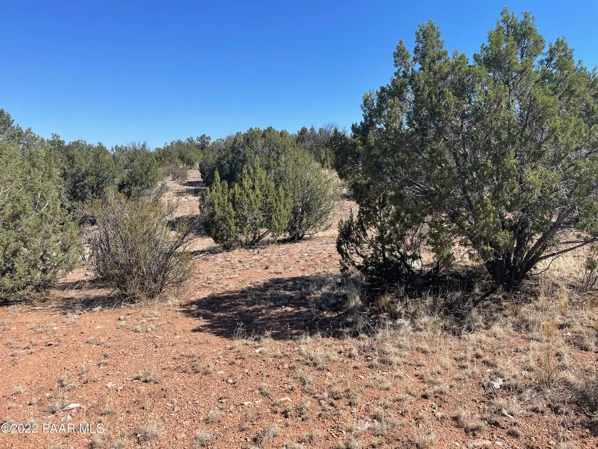 30134 W Alpia Circle, Seligman, AZ 86337 - #1