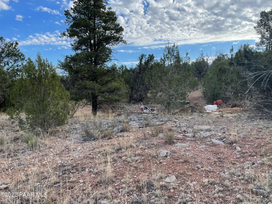 54663 N Forest Grove Way, Seligman, AZ 86337 - #2