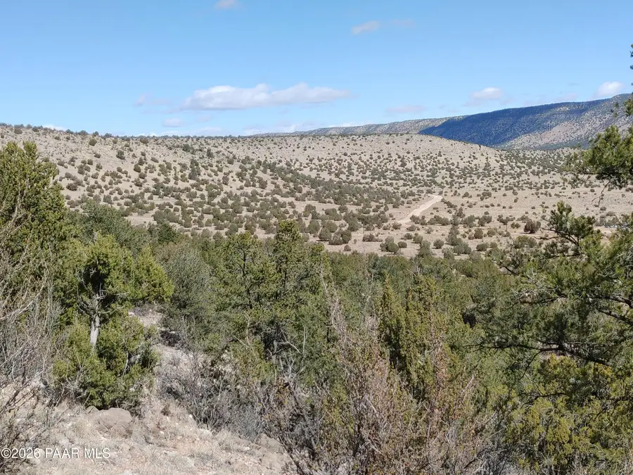 54870 Paint Brush Lane, Seligman, AZ 86337 - #3