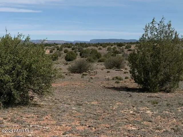 363se Via Dolorosa, Seligman, AZ 86337 - #1