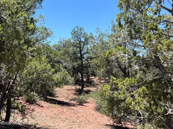 201 Cathedral Valley Road, Ash Fork, AZ 86320