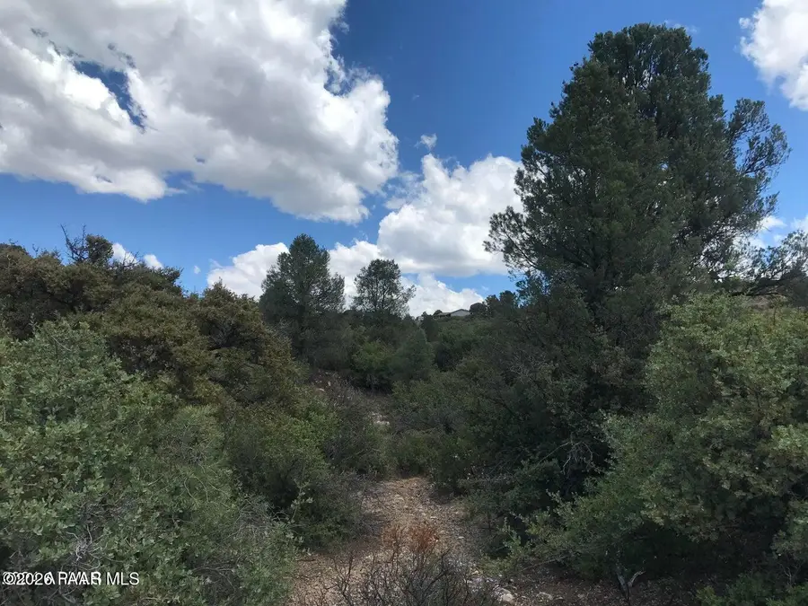 - W Legacy Lane, Peeples Valley, AZ 86332 - #3