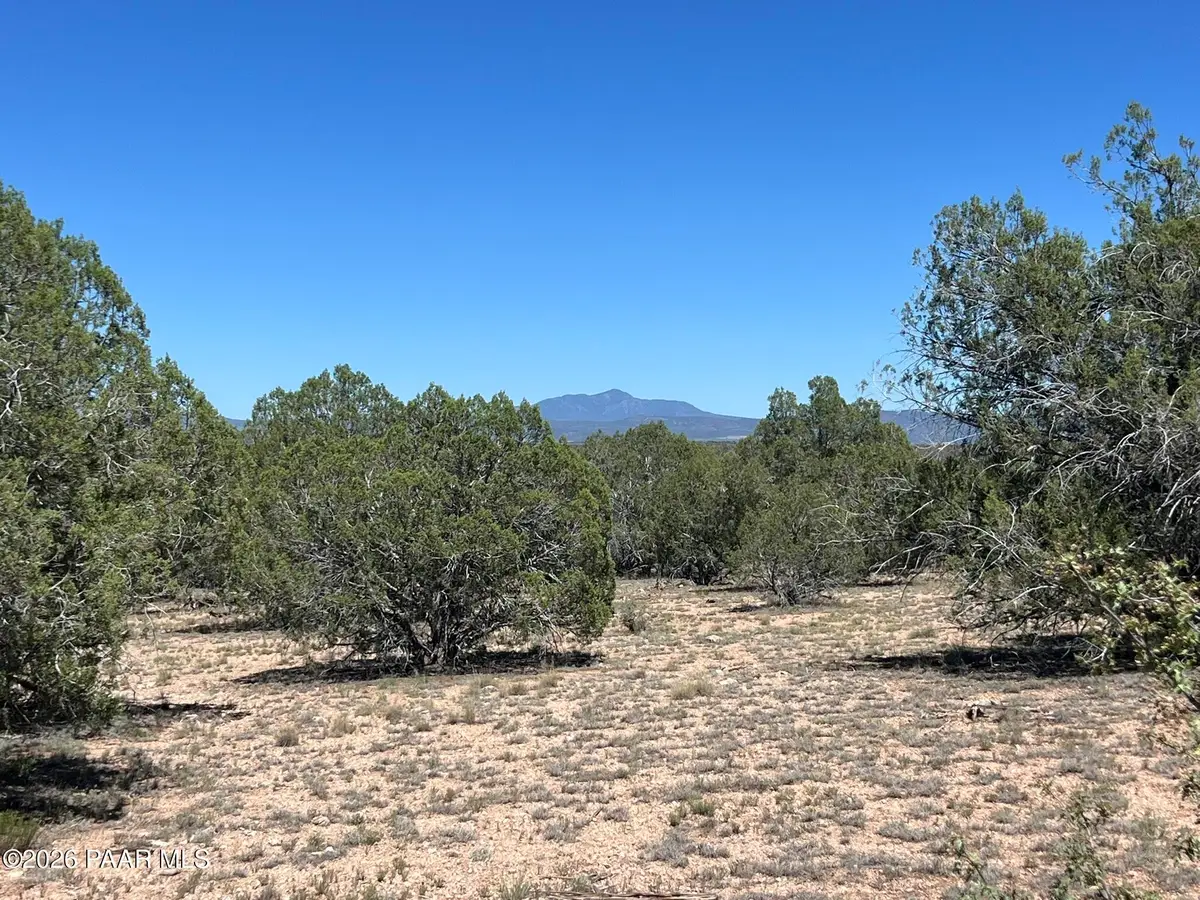 202 Cooks Trail, Ash Fork, AZ 86320 - #1
