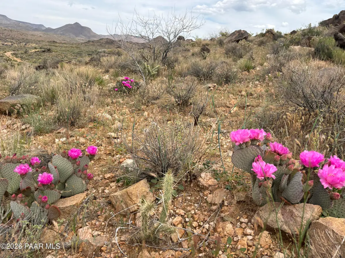 254-24-002 Mica, Kingman, AZ 86401 - #1