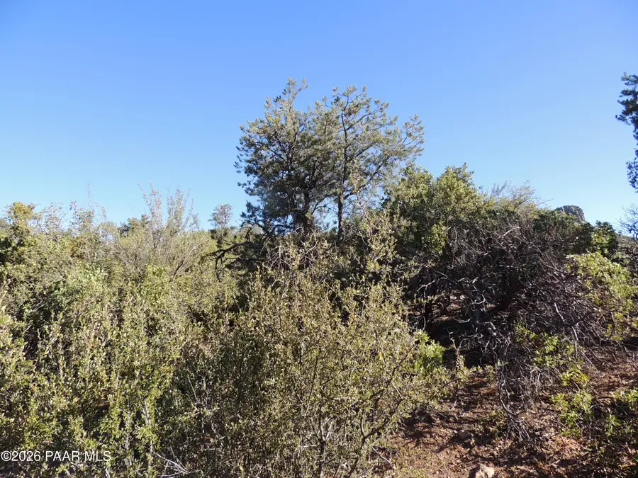 1385 Sierry Peaks Drive, Prescott, AZ 86305 - #2