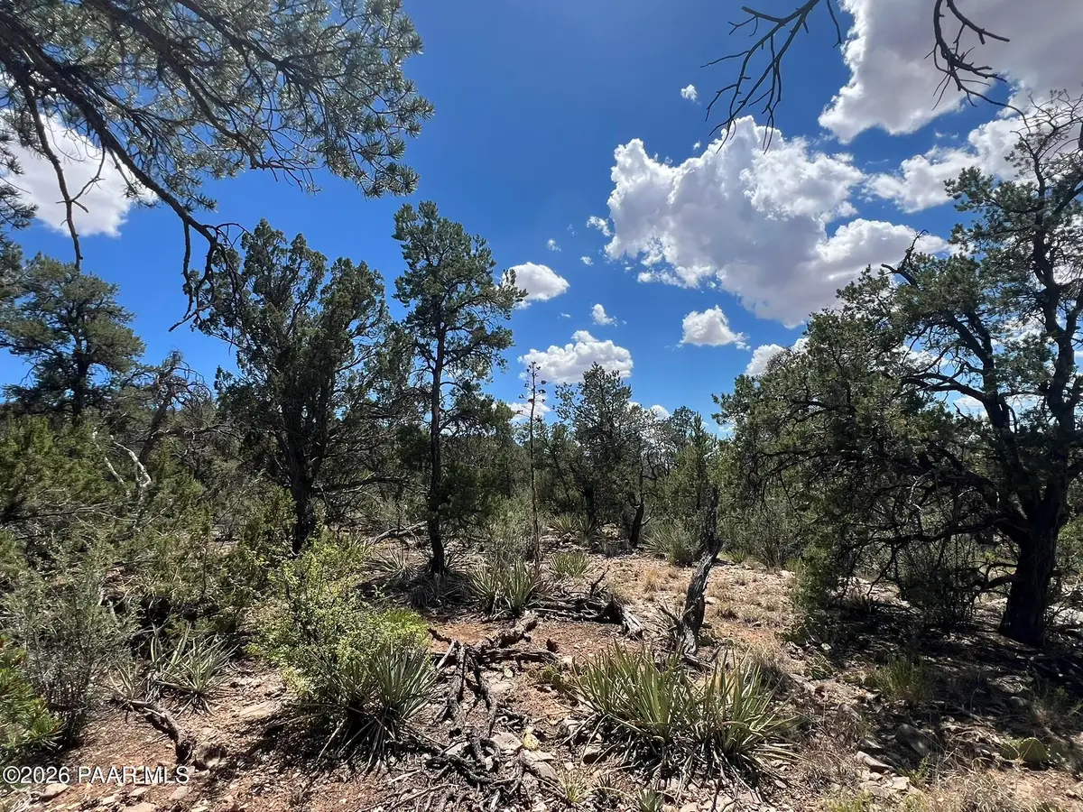 109 Off Of Twin Fawn Lane, Ash Fork, AZ 86320 - #1