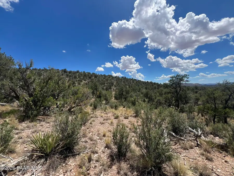 109 Off Of Twin Fawn Lane, Ash Fork, AZ 86320 - #2