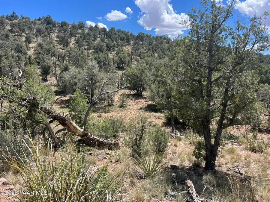 109 Off Of Twin Fawn Lane, Ash Fork, AZ 86320 - #3