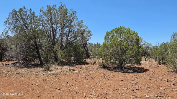 1026 S2 Arco Pipeline, Seligman, AZ 86046