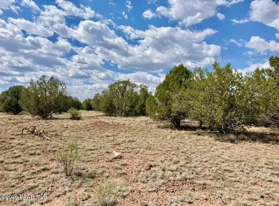 223 W Pat Drive, Williams, AZ 86046 - #2