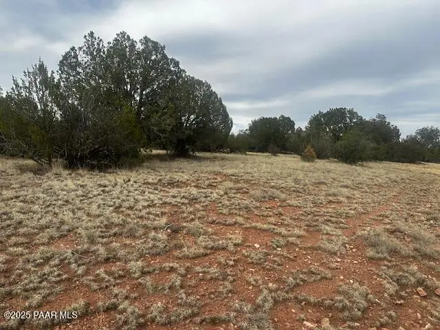 Lot 382se Gable Road, Seligman, AZ 86337 - #1