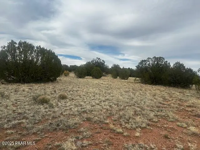 Lot 382se Gable Road, Seligman, AZ 86337 - #3