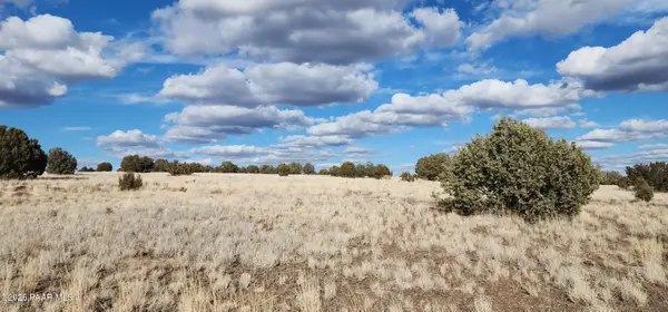 Lot 55a True Grit, Ash Fork, AZ 86320