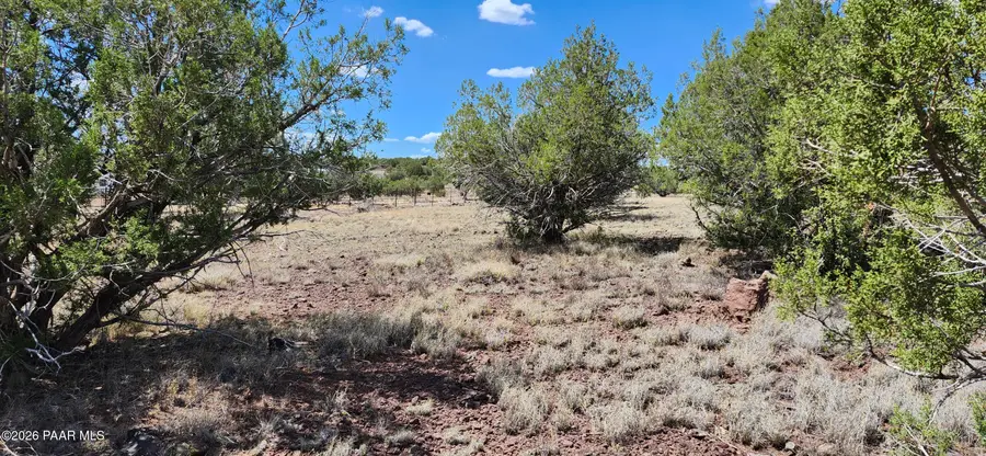 467 W Edgewood Drive, Williams, AZ 86046 - #3