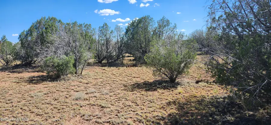 2901 W Cienega Drive, Williams, AZ 86046 - #3