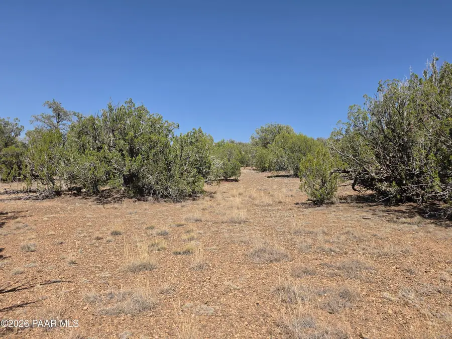 000 Elk Lane, Seligman, AZ 86337 - #3