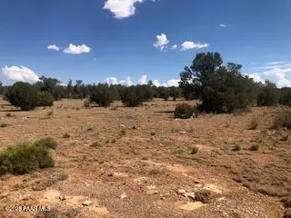 31440 W Thorwood Drive, Seligman, AZ 86337 - #3