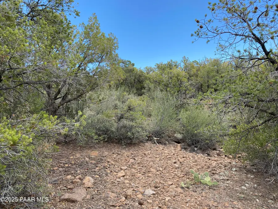 00 Shiloh Road, Seligman, AZ 86337 - #2