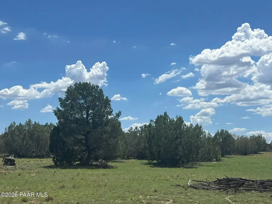 62 Cone Lane, Ash Fork, AZ 86320 - #3