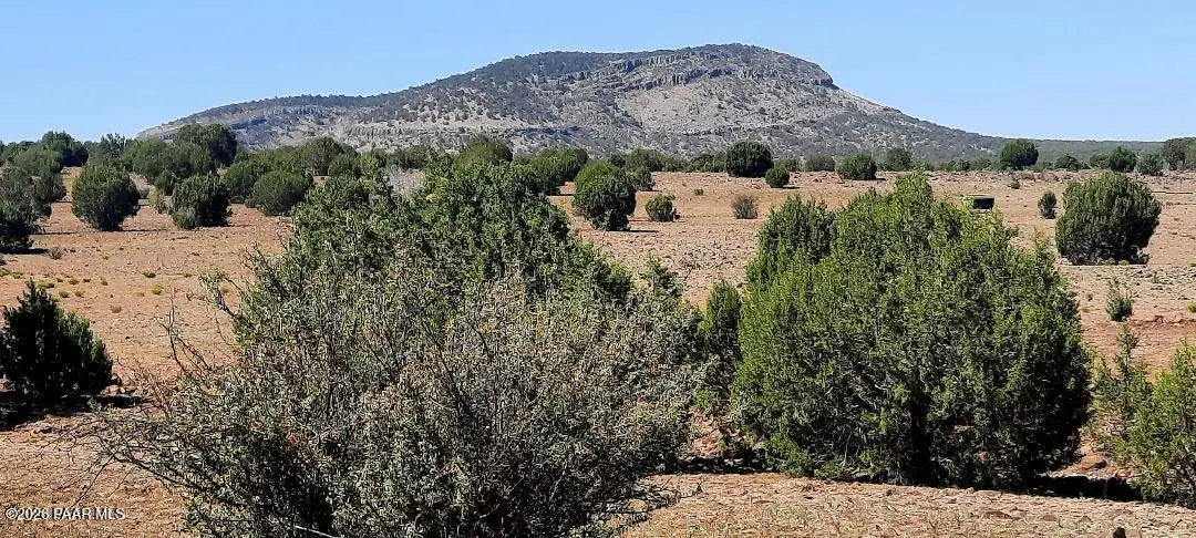 Xxxx E Martinez Rd, Williams, AZ 86046 - #1