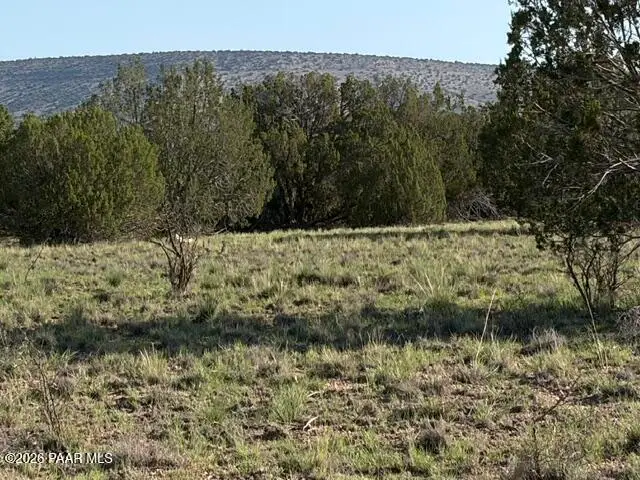 25840 W Granada Road, Seligman, AZ 86337 - #1