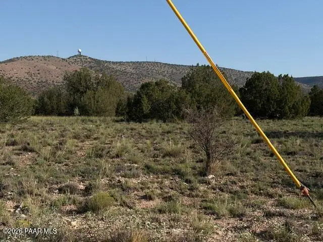 25840 W Granada Road, Seligman, AZ 86337 - #3