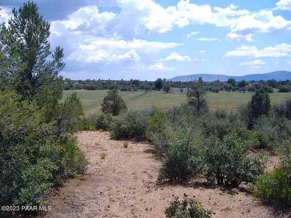 10499 W Tough Country Trail, Skull Valley, AZ 86338