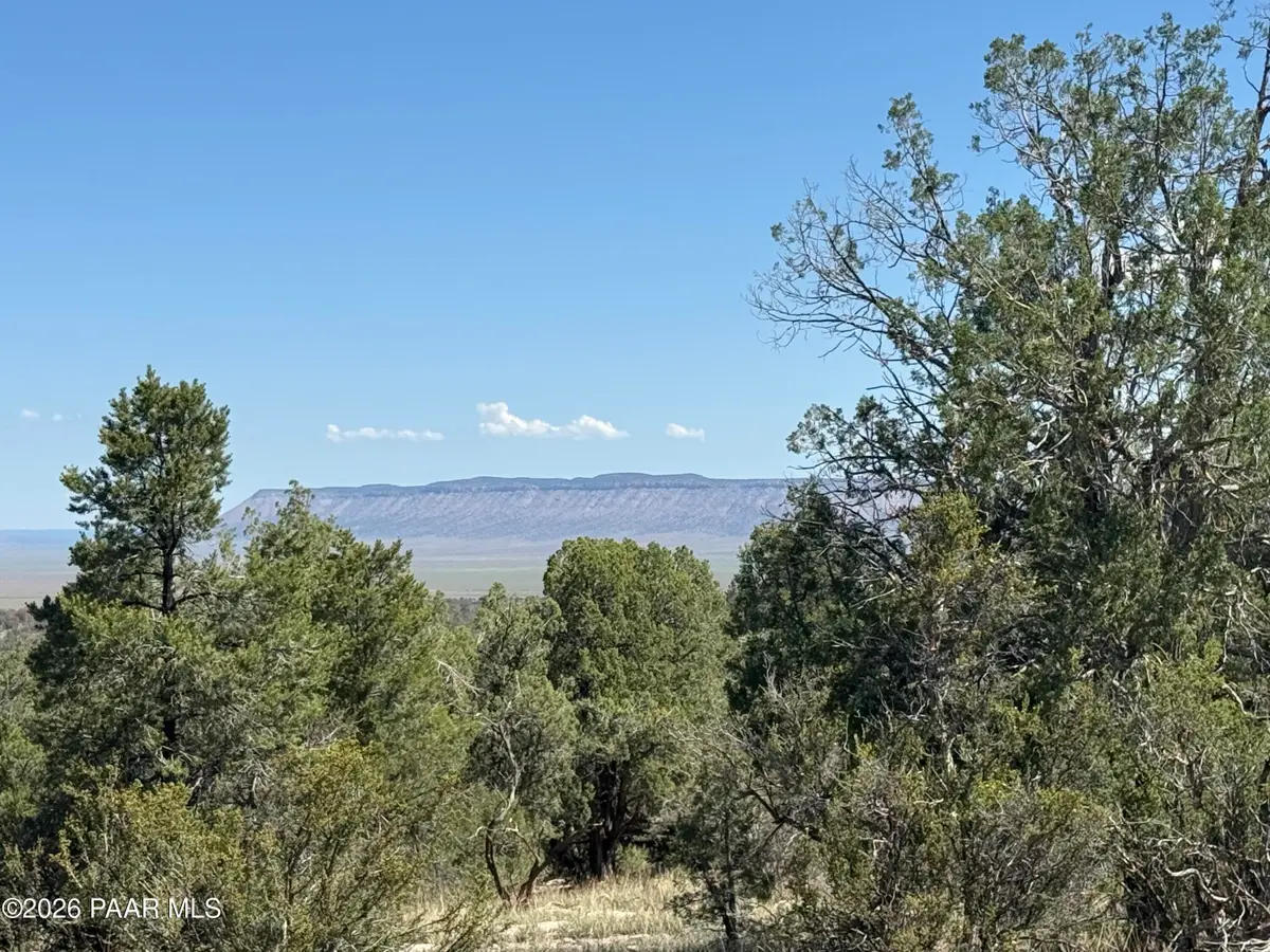 32506 W Shadow Mountain Circle, Seligman, AZ 86337 - #1