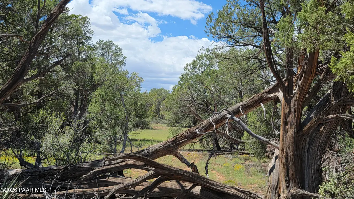 Lot 51 Off Rising Rock Road, Ash Fork, AZ 86320 - #1
