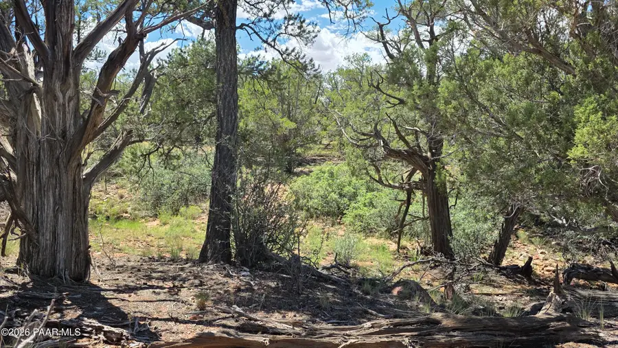 Lot 51 Off Rising Rock Road, Ash Fork, AZ 86320 - #2