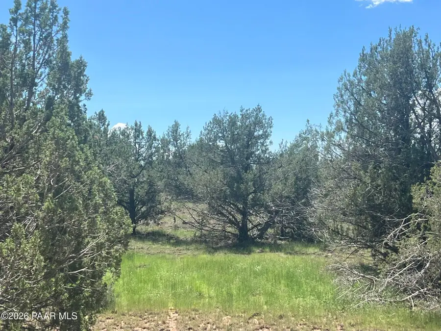 202 W Hillcrest Drive, Williams, AZ 86046 - #3