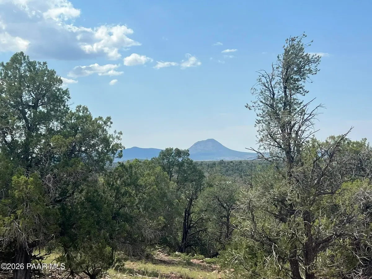 276 Off Of Cathedral Valley Road, Ash Fork, AZ 86320 - #1