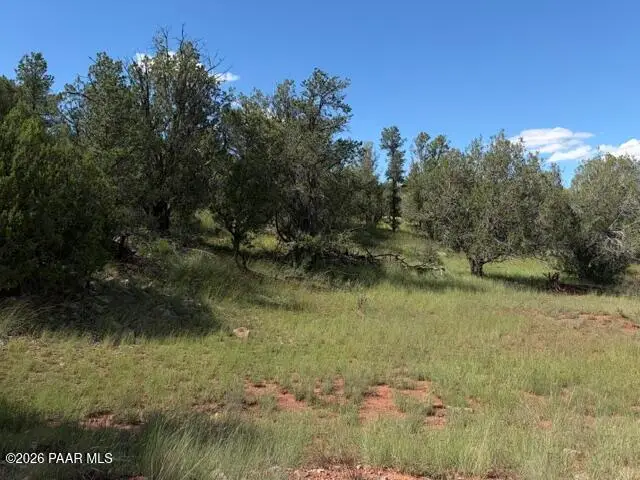 34440 W Potrero Parkway, Seligman, AZ 86337 - #1