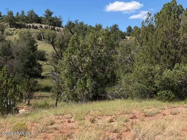 34440 W Potrero Parkway, Seligman, AZ 86337 - #3