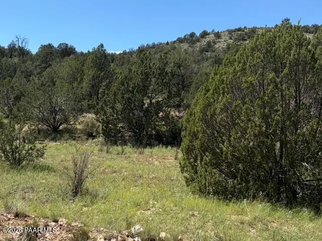 52714 N Calle Campo, Seligman, AZ 86337 - #1