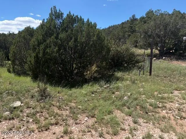 52714 N Calle Campo, Seligman, AZ 86337 - #3
