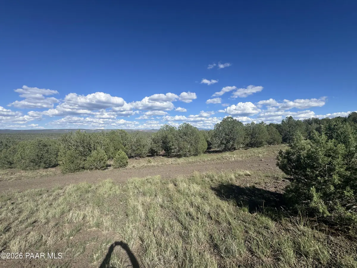 4529 W Eagle Wings Drive, Williams, AZ 86046 - #1
