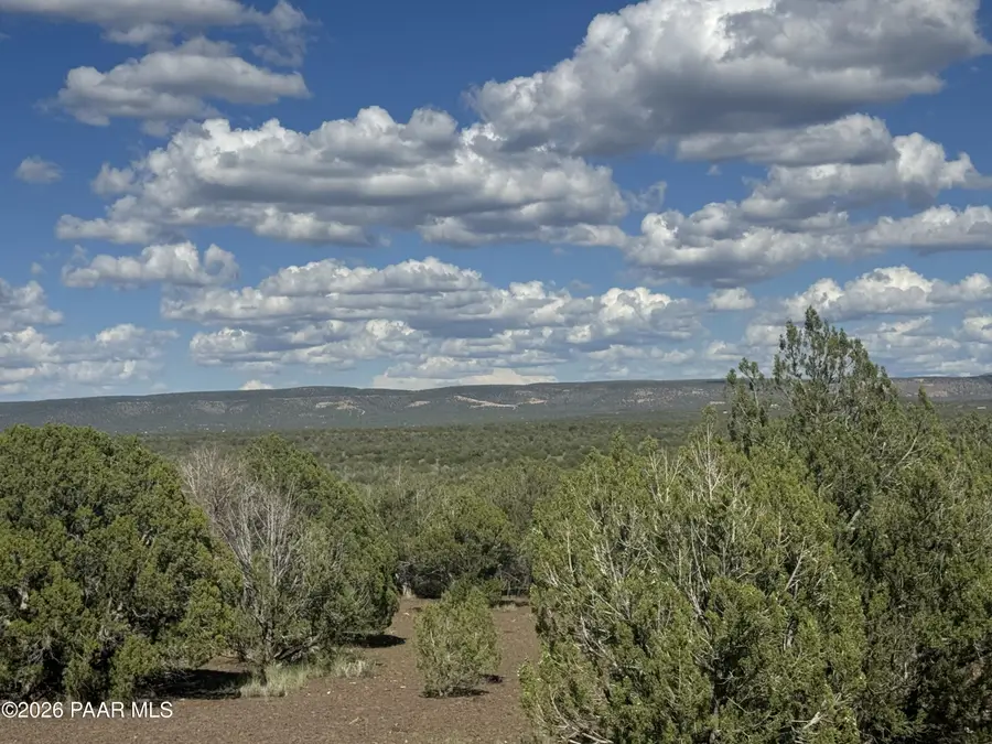 4529 W Eagle Wings Drive, Williams, AZ 86046 - #3